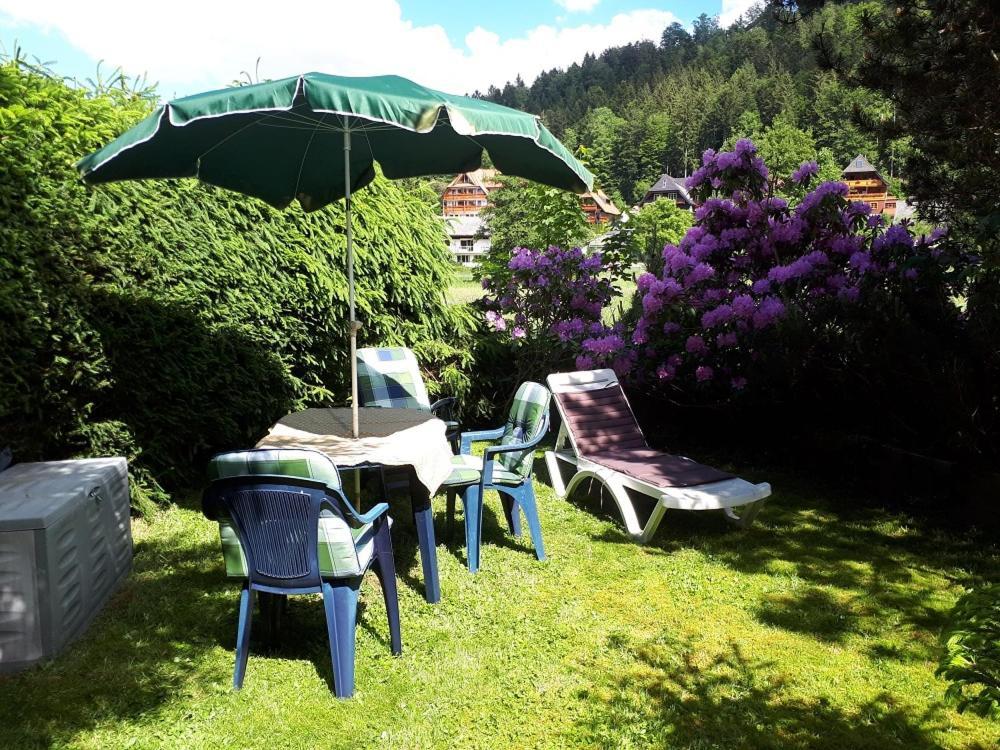 Gaestehaus Lickert Familie Dreher Hinterzarten Exterior photo